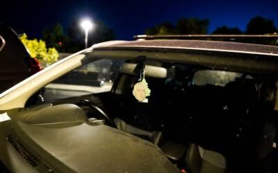 Is Your Windshield Crack or Chip Worth Repairing? Learn How to Tell
