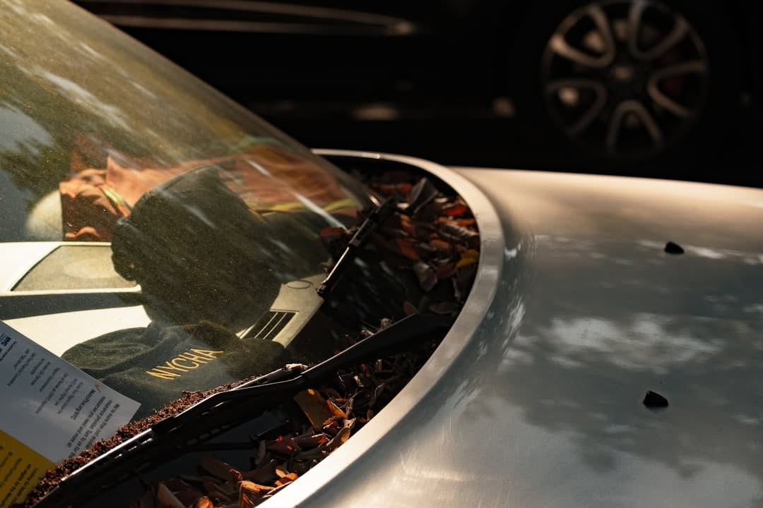 A car windshield with leaves and debris collected near the wipers, with a parking ticket and reflection of trees visible on the glass.