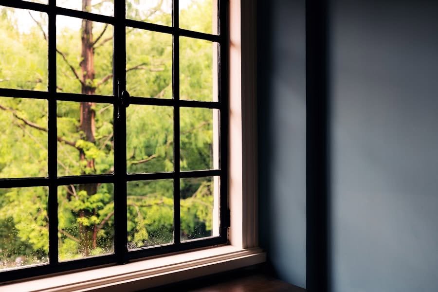 Photo window replacement
